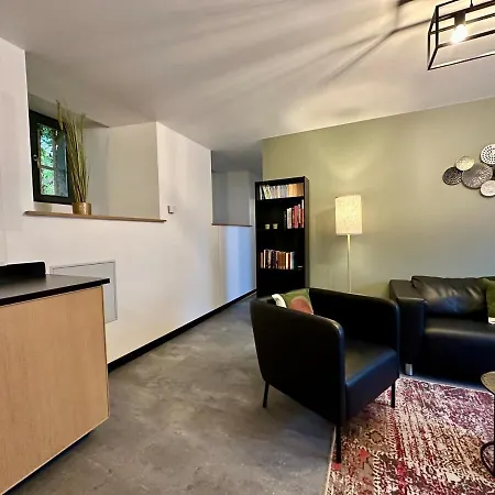 Le Bangkok - 8 Personnes - 4 Et 4 Sdb & Wc * Nancy