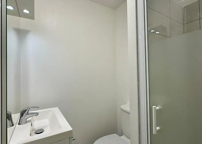 Le Bangkok - 8 Personnes - 4 Et 4 Sdb & Wc Nancy